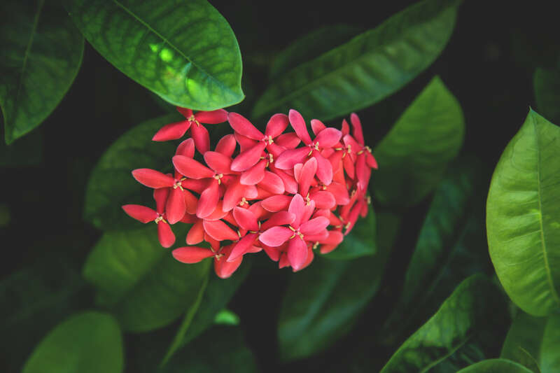 Miami, United States