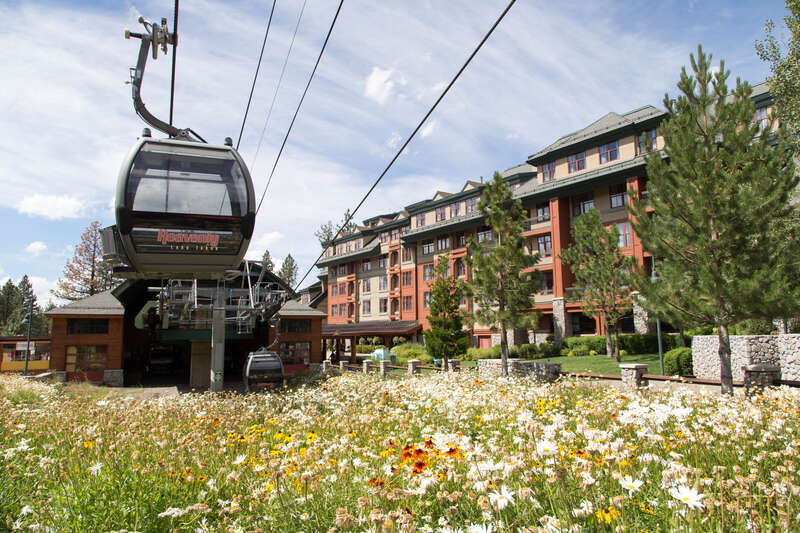 Tahoe Crescent