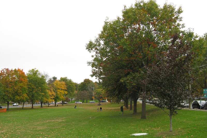 Town Common, Amherst Massachusetts