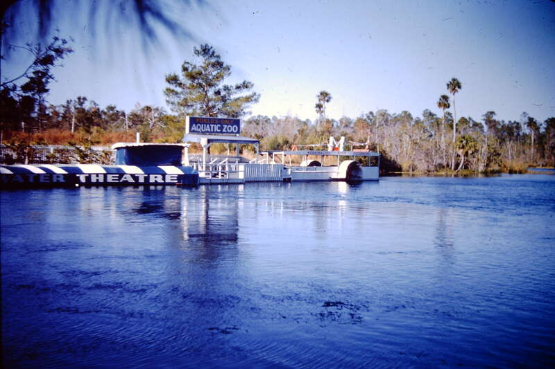 slide photo of Weeki Wachee Springs taken by my Dad sometime in the 1950s