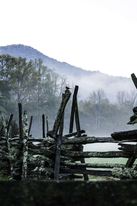 Cherokee, United States