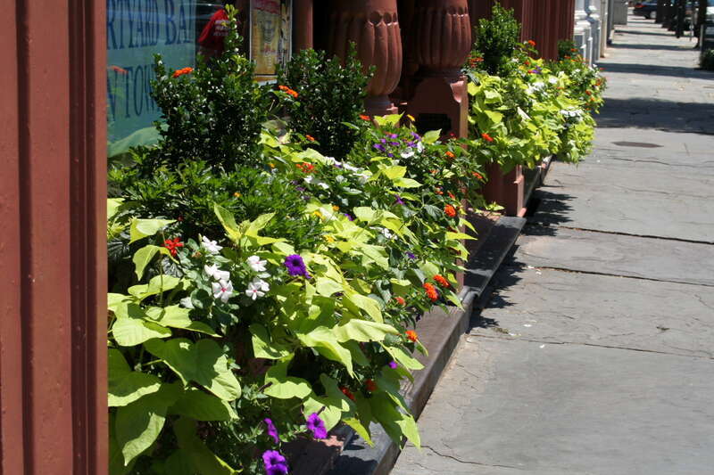 Broad St. flower boxes