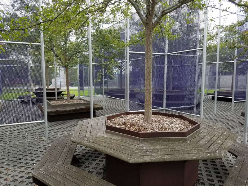 Interior image of the Nine Spaces Nine Trees art installation facing south, taken 08/22/2021