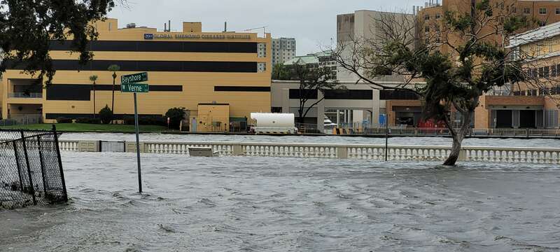 Storm surge from Hurricane Idalia along Bayshore Boulevard in Tampa. Tampa General Hospital is in the background across the Hillsborough River.