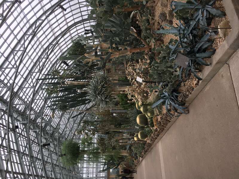 Garfield Park Conservatory (Chicago)