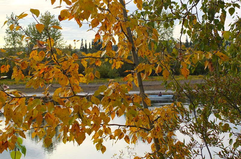 hidden rower