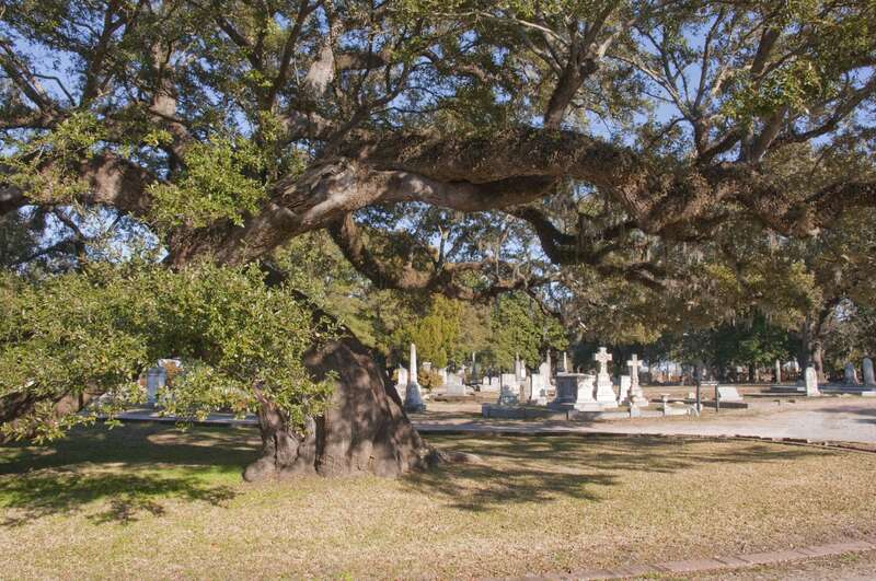 Magnoilia Cemetery
