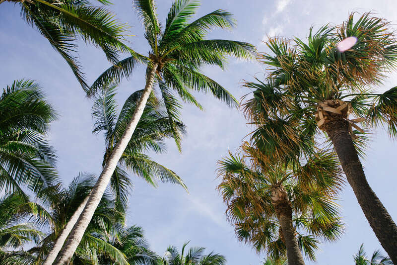 Fort Lauderdale, United States