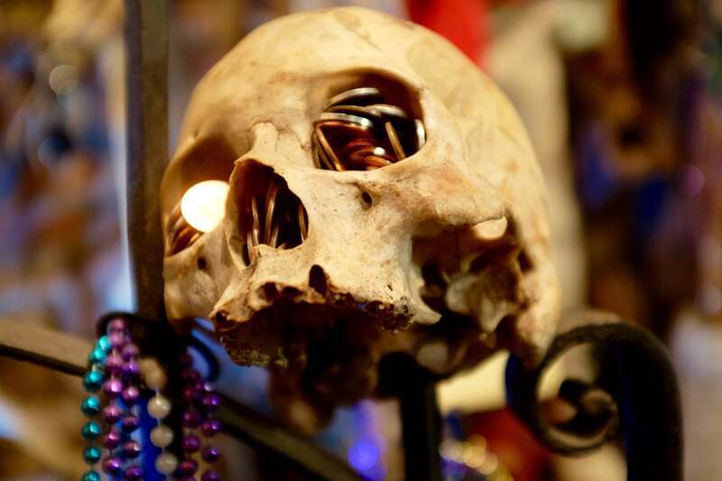 A human skull at the Voodoo Museum, New Orleans
