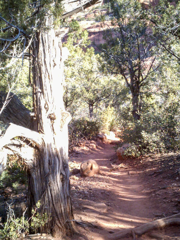 Boynton Canyon Trail, Sedona, Arizona
