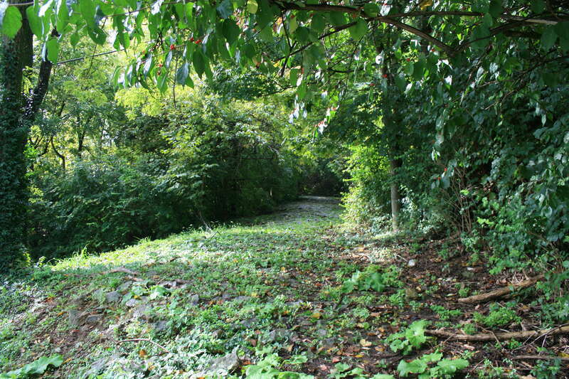 Cobblestone Path