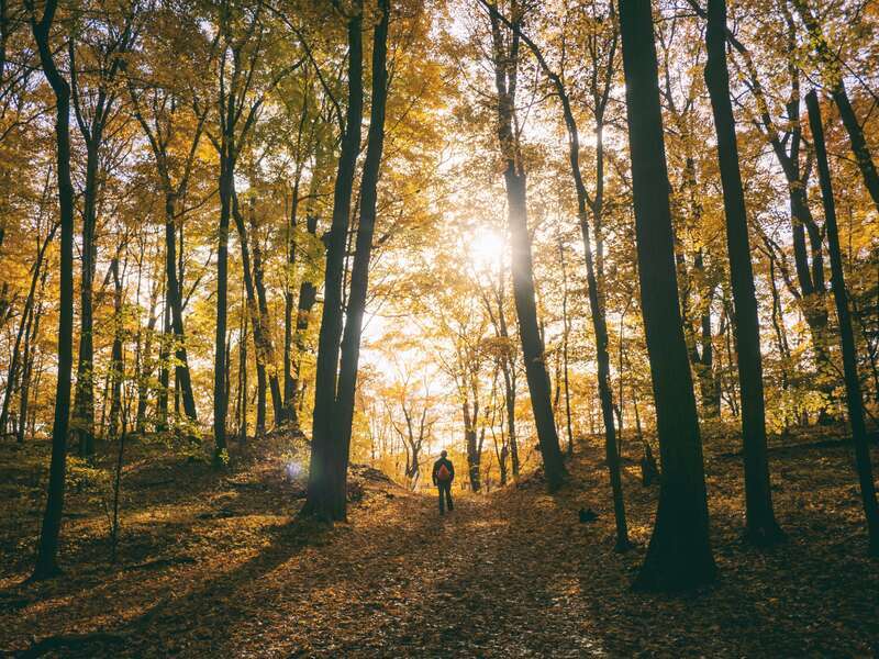 Saugatuck, United States