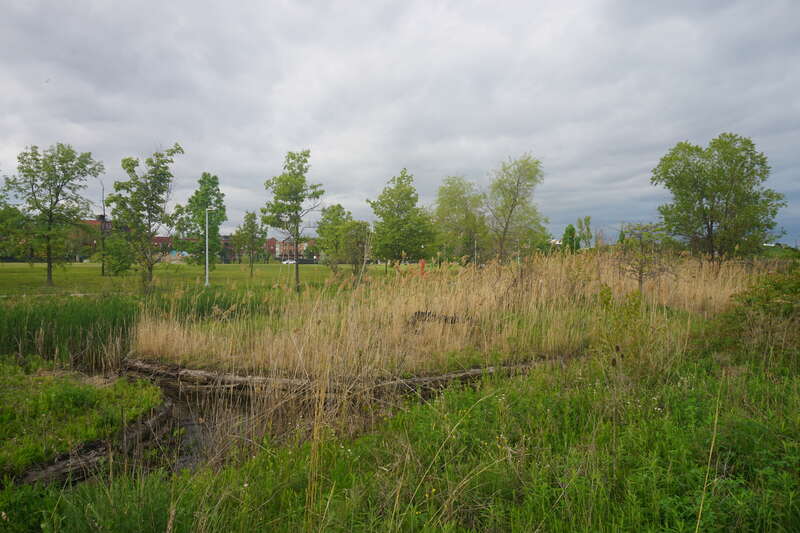 The William G. Milliken State Park and Harbor in Detroit, Michigan (United States).