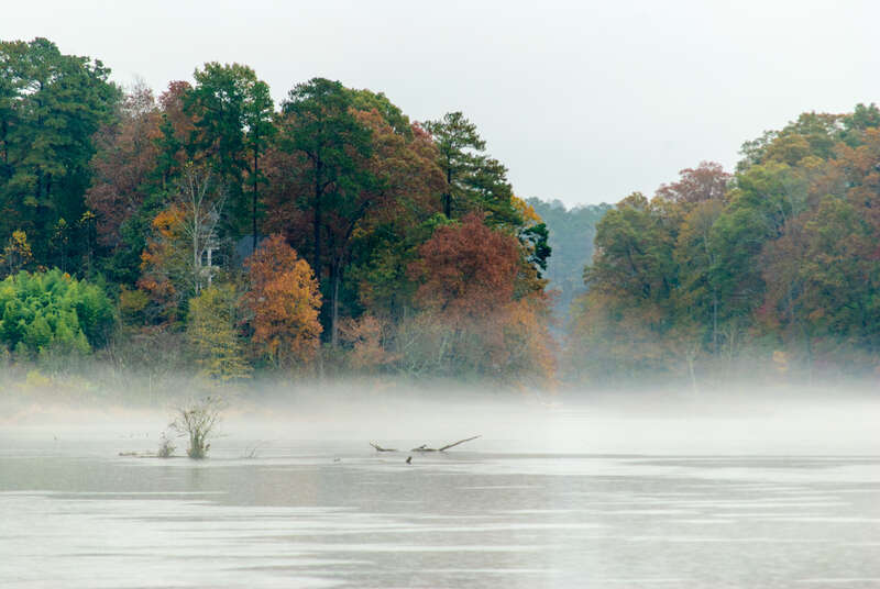 Fall Rains