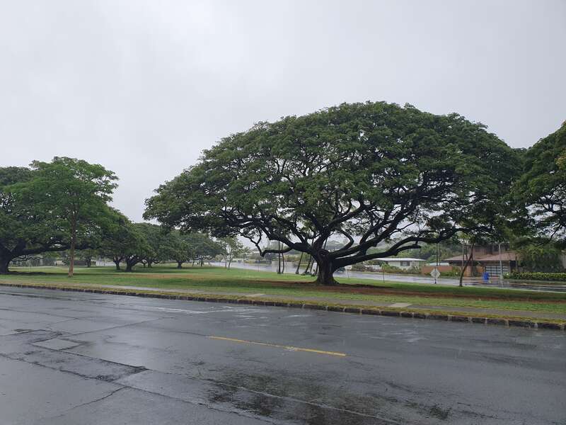 park