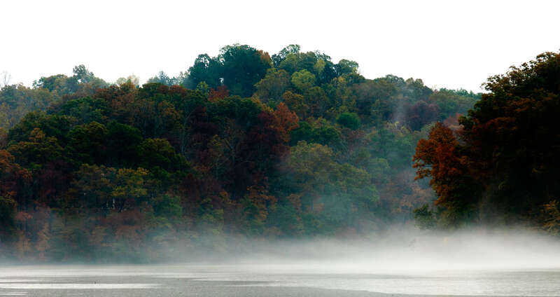 Mist