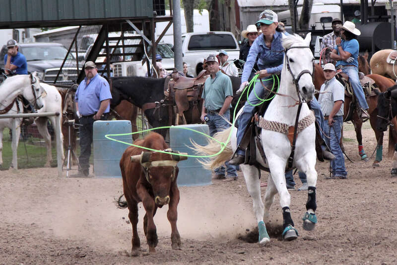Jackpot team roping event in New Braunfels, Texas, United States. The header aims to get the rope around the steer's horns.