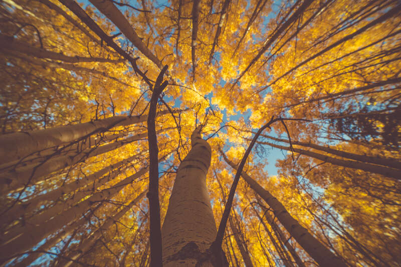 Vail, United States