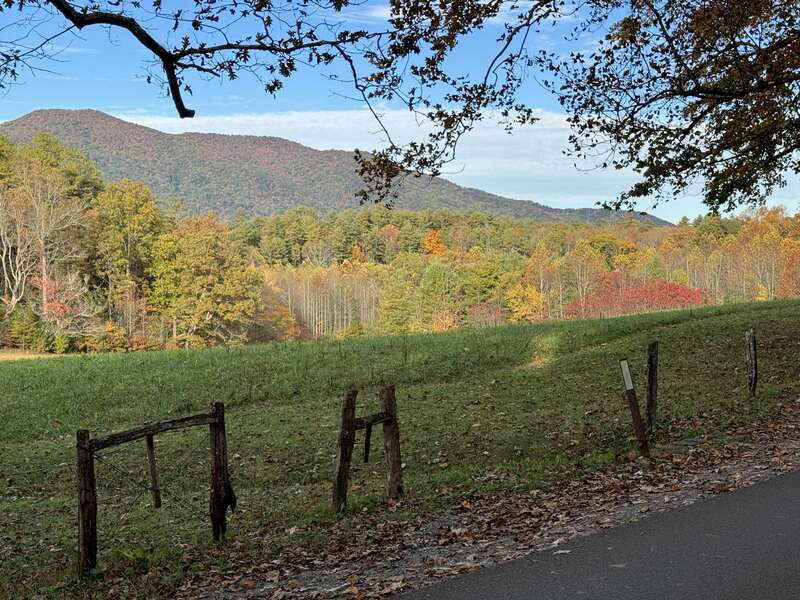 Cades Cove Loop Road