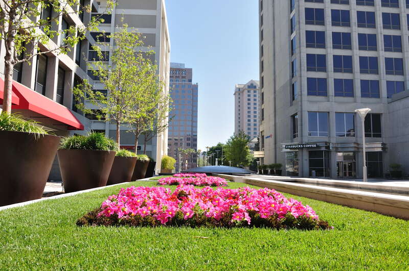 Scene from downtown San Jose