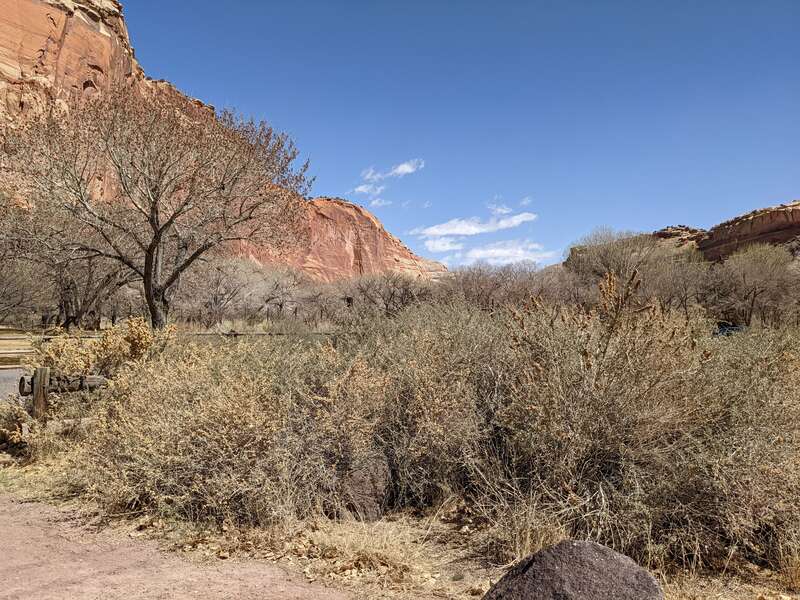 Capitol Reef National Park