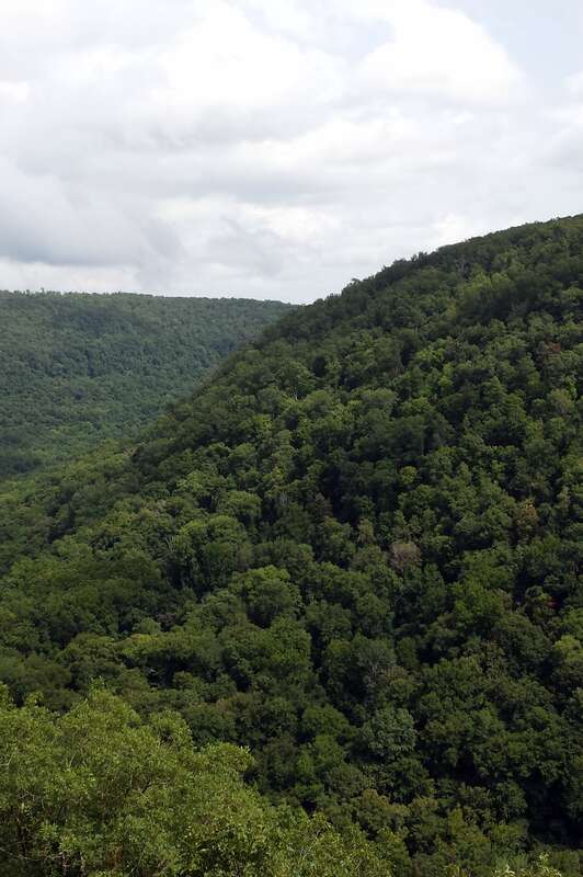 View from bluffline along the Hawksbill Crag Trail in the Upper Buffalo Wilderness in Newton County, AR