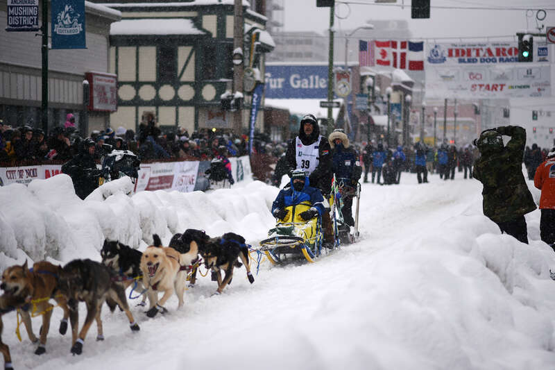 The 2022 Iditarod ceremonial start in Anchorage, Alaska.

This photo is available for free public use. Please provide credit in the following format: "Photo used via Creative Commons license courtesy Paxson Woelber, The Alaska Landmine"