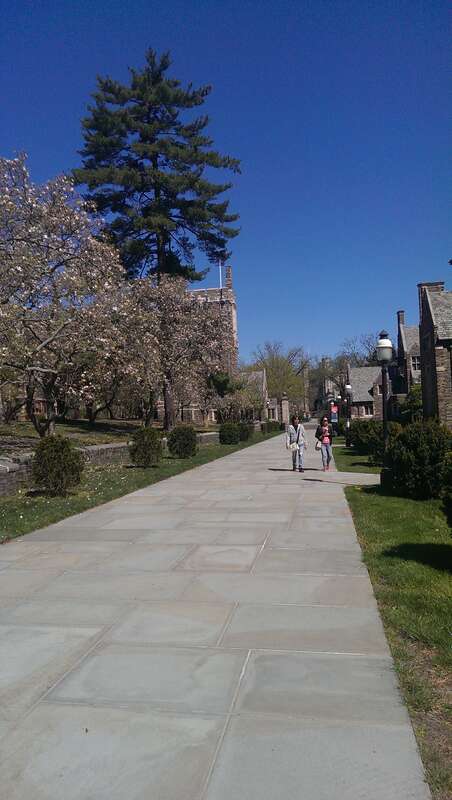 university
