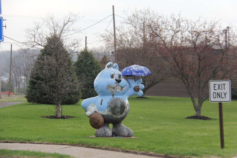 Punxsutawney PA