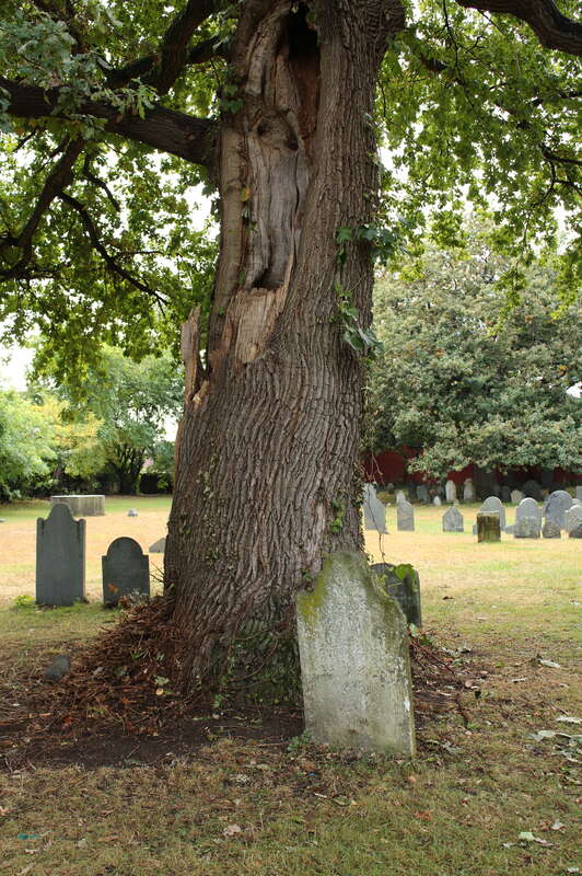 The Burying Point, Salem.