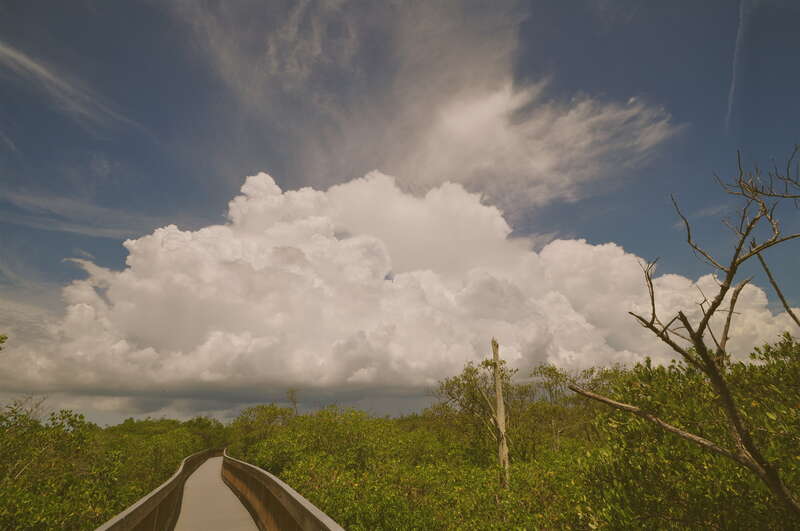 Weedon Island preserve