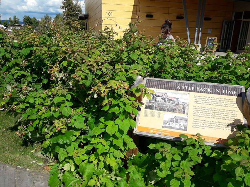 Fairbanks, Alaska