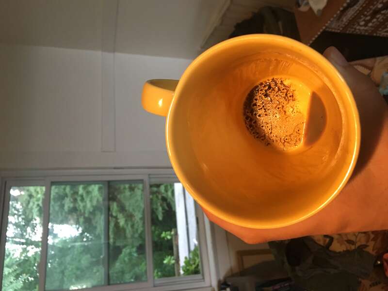 picture of hand holding a yellow cup with coffee grounds in front of a window with greenery and a white wall