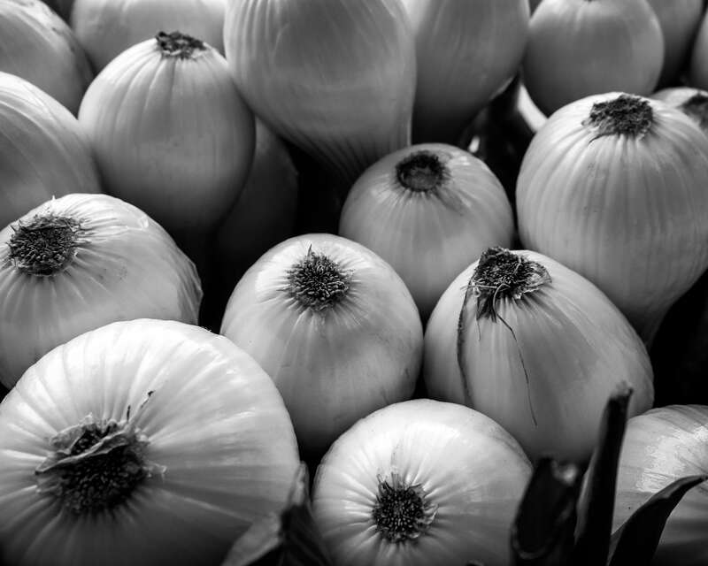 Leeks at the Saturday Market in Eugene, Oregon