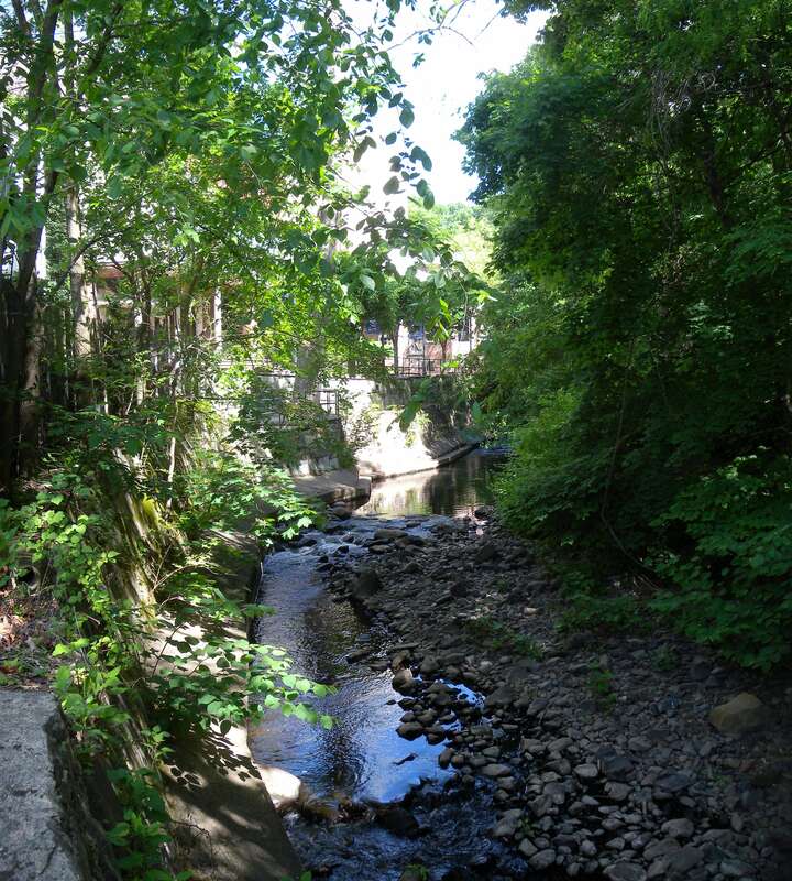 Looking north down the brook on a sunny morning as it flows past the playhouse towards the distant Rahway River.
