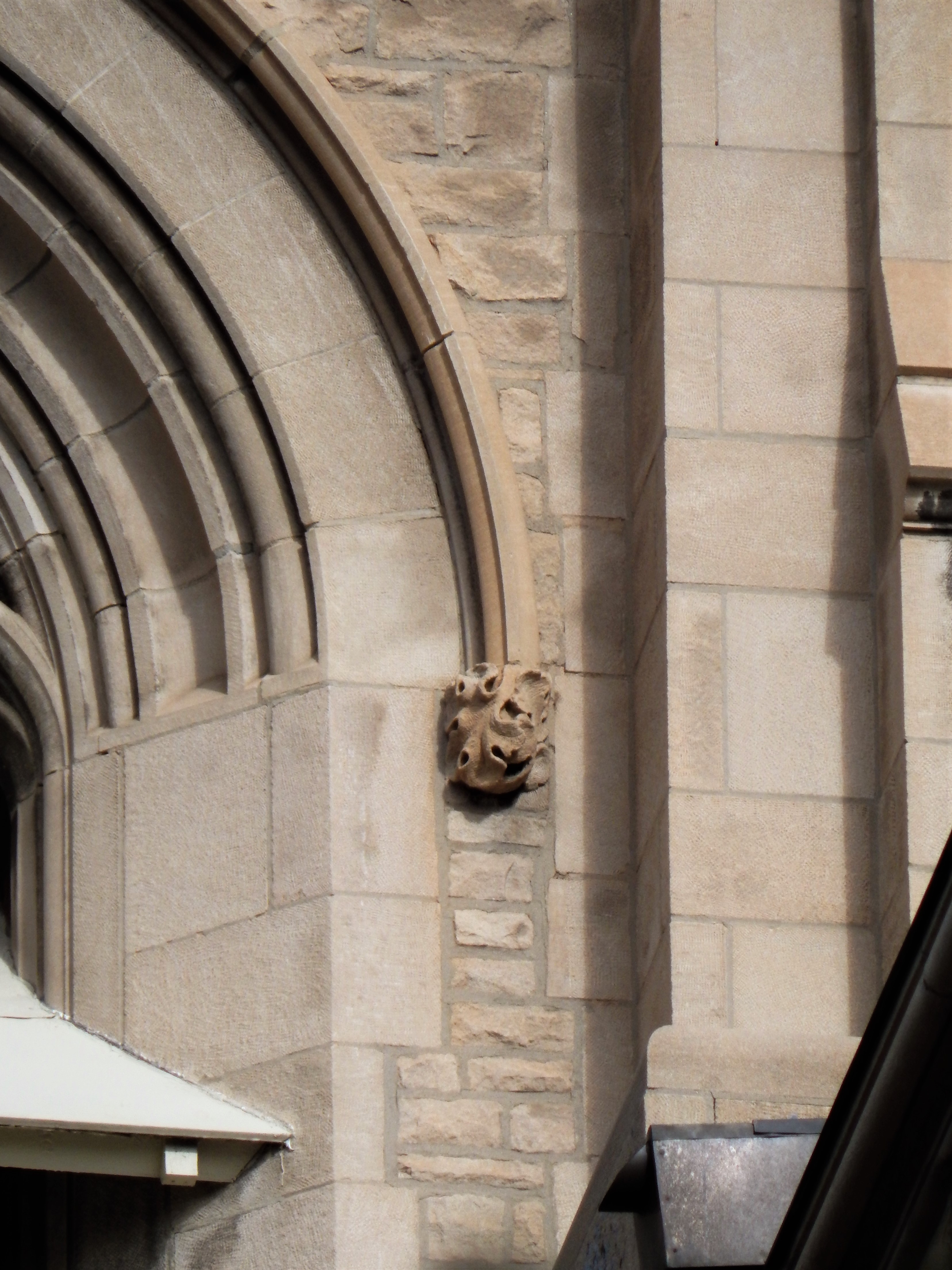 An acanthus "label-stop" on the hood-mould of the belfry opening--a detail of the architectural richness of the bell tower, one hundred feet above the ground.
