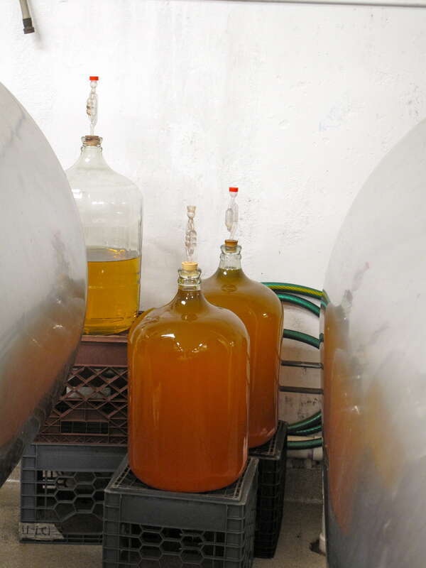 en:Bishop's Orchards