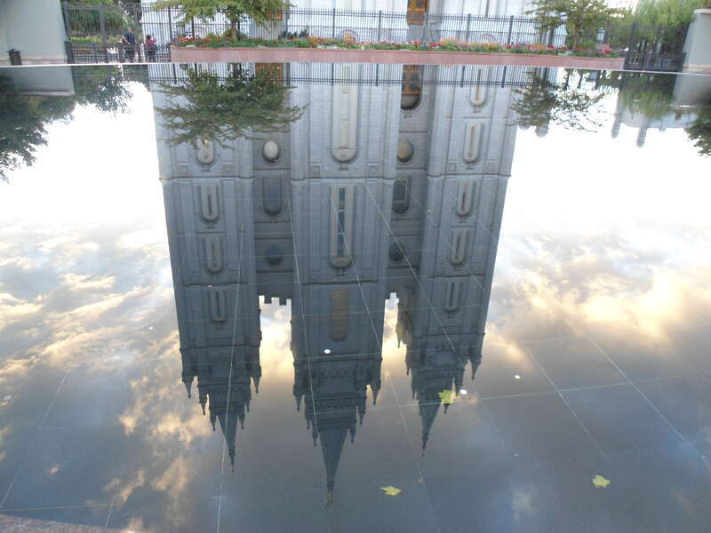 Devine Reflection