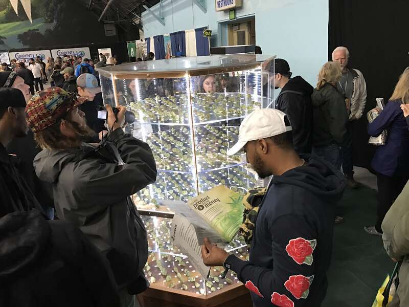 2016 Emerald Cup, Sonoma County Fairgrounds in Santa Rosa, California, United States