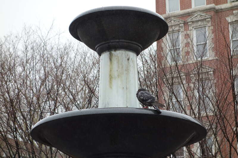 The fountain of Father Demo Square on a rainy day, at 6th Avenue, Carmine Street and Bleeker Street in Greenwich Village, Manhattan. Pictured is a bird perched near the top.