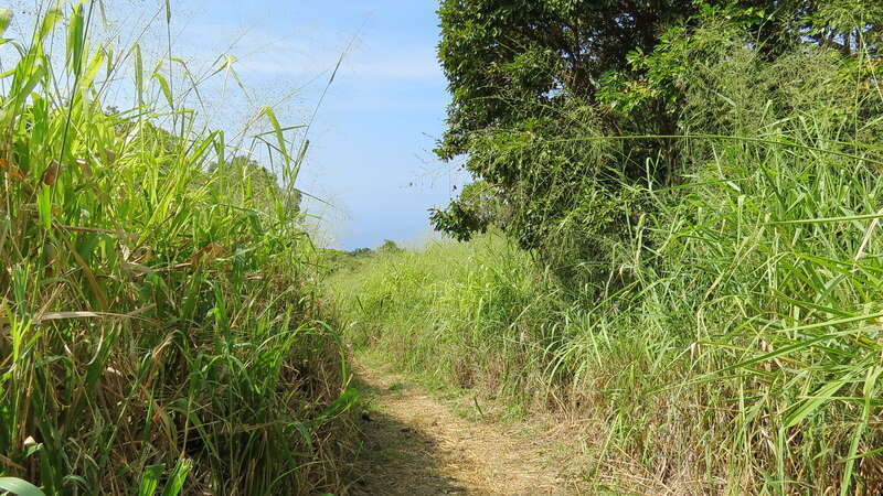 Ka'awaloa Trail, Captain Cook, Big Island, Hawaii, United States