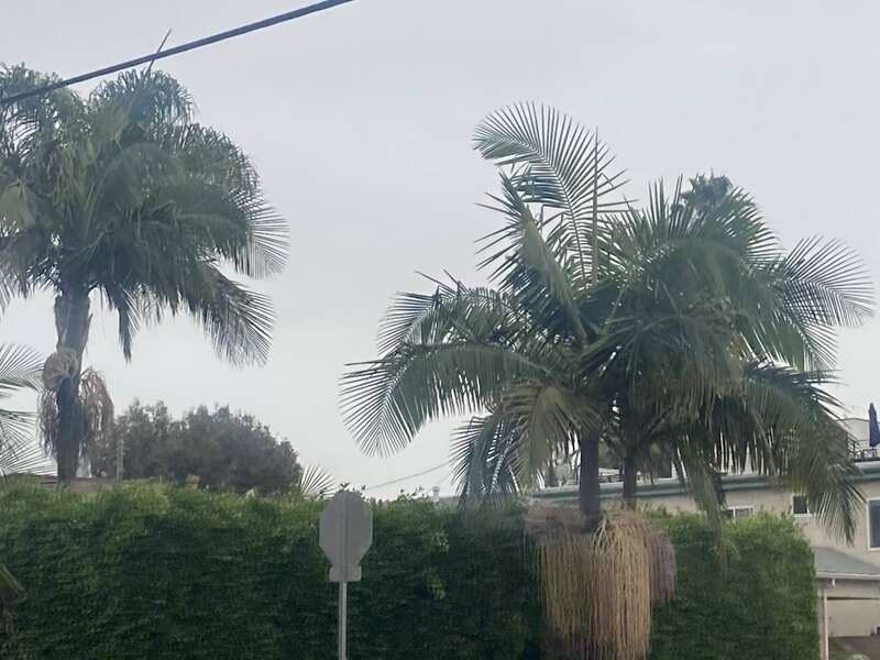 Los Angeles