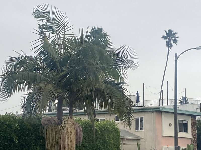 Los Angeles