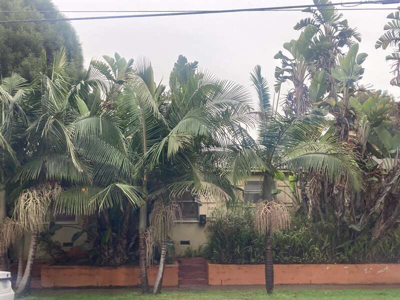Los Angeles