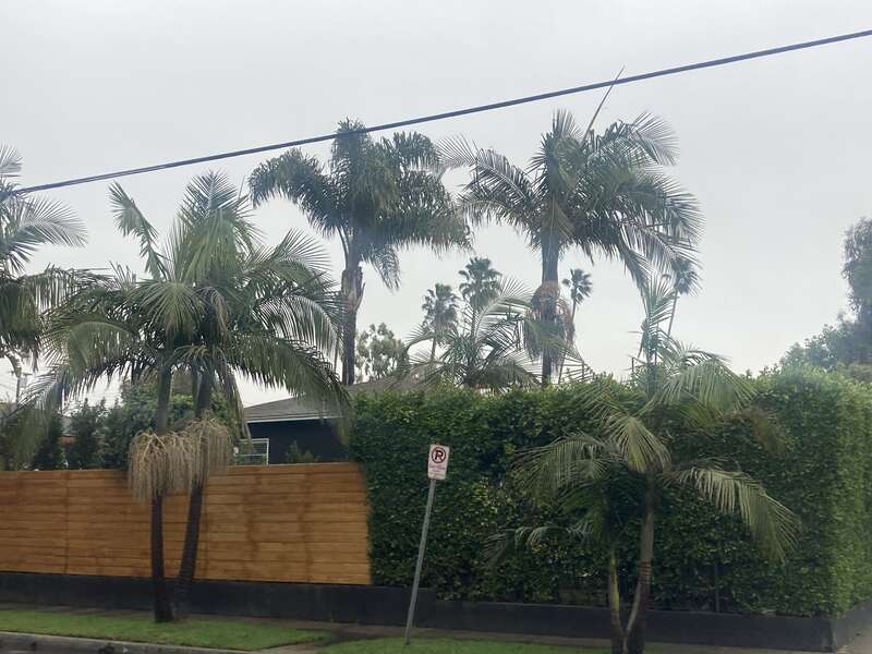 Los Angeles