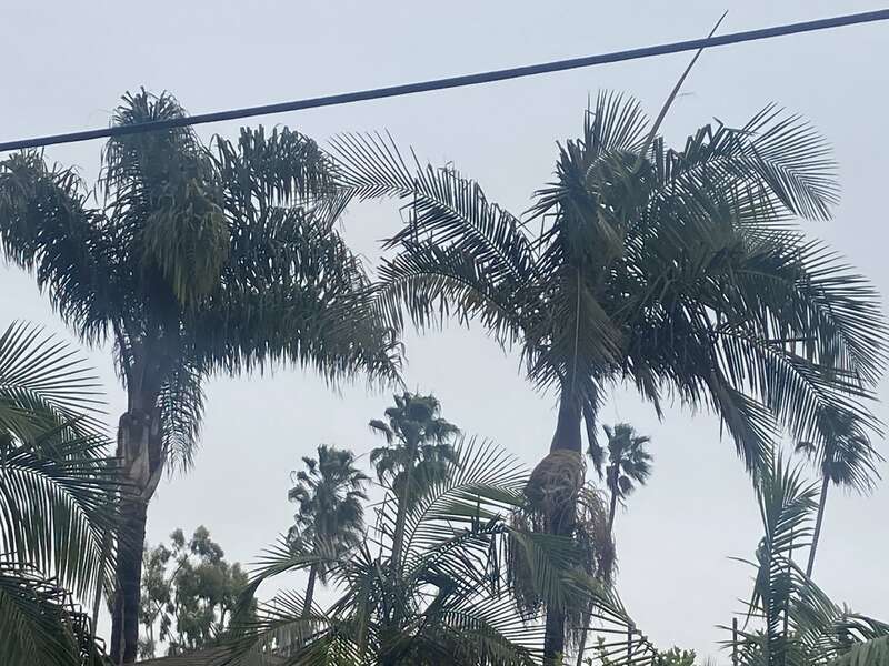 Los Angeles