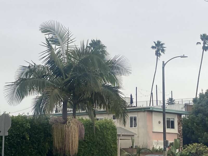 Los Angeles