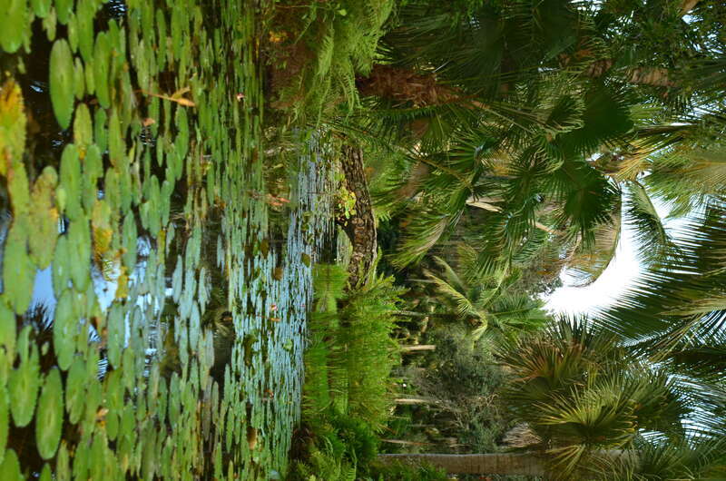 Historic Bridge at McKee Botanical Gardens