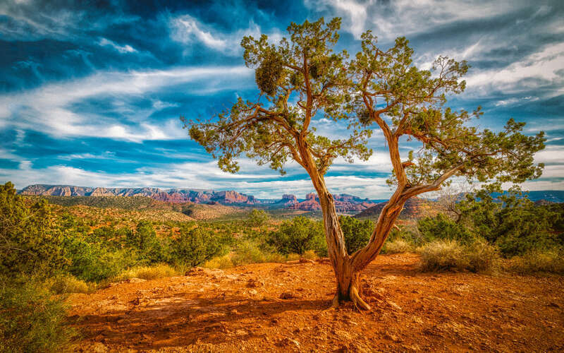 Sedona Arizona