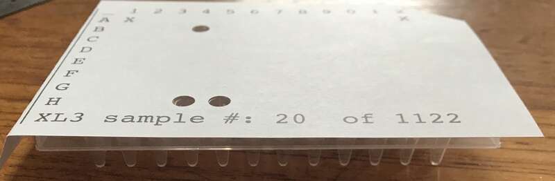 Origami Assays paper template used for nonadaptive group testing of COVID19 assays.  The template simplifies the manual process for assay construction to reduce human error.